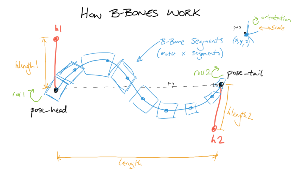 how_bbones_work-01