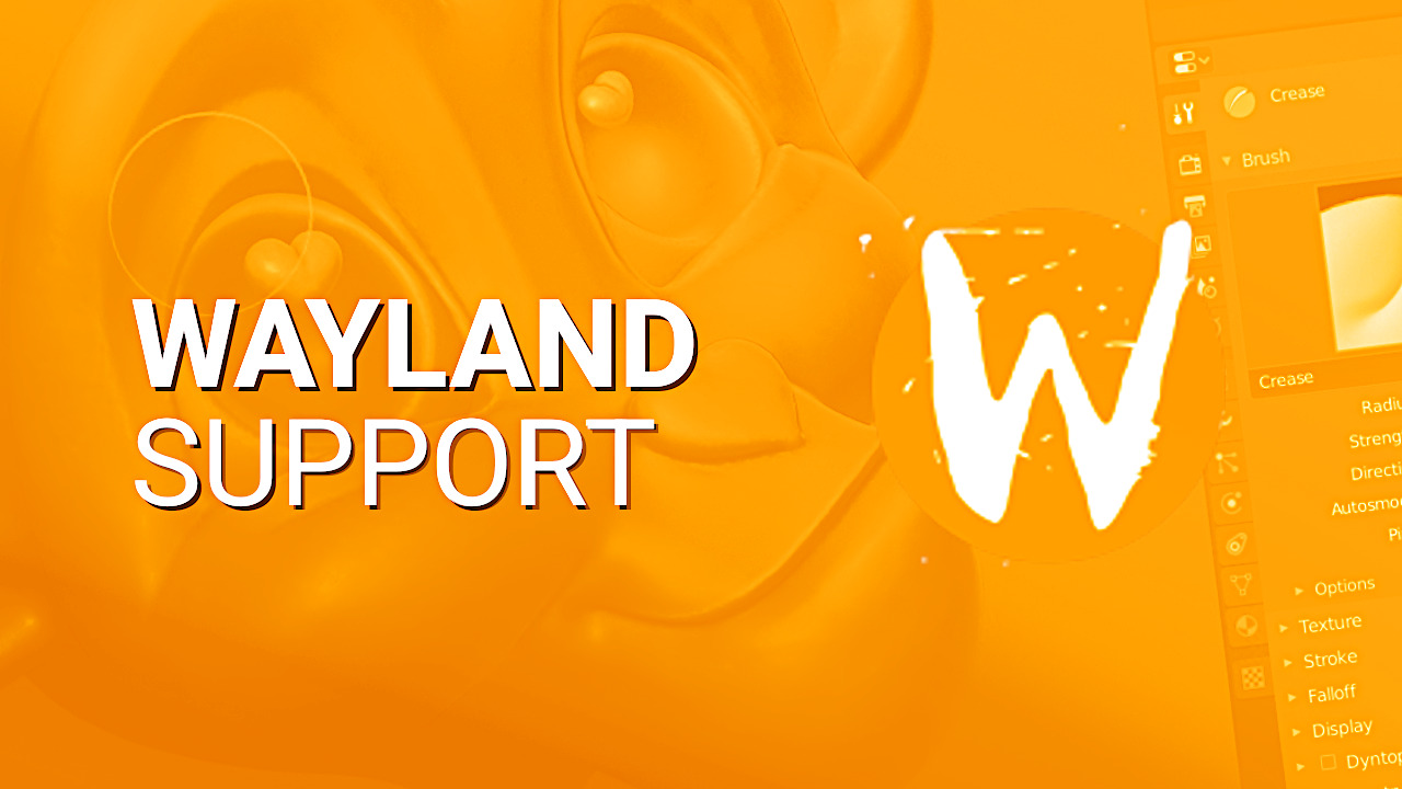 Wayland continua ad essere la scelta prediletta per le nuove distribuzioni, dopo Fedora 40 ecco Linux Mint e Raspberry Pi OS